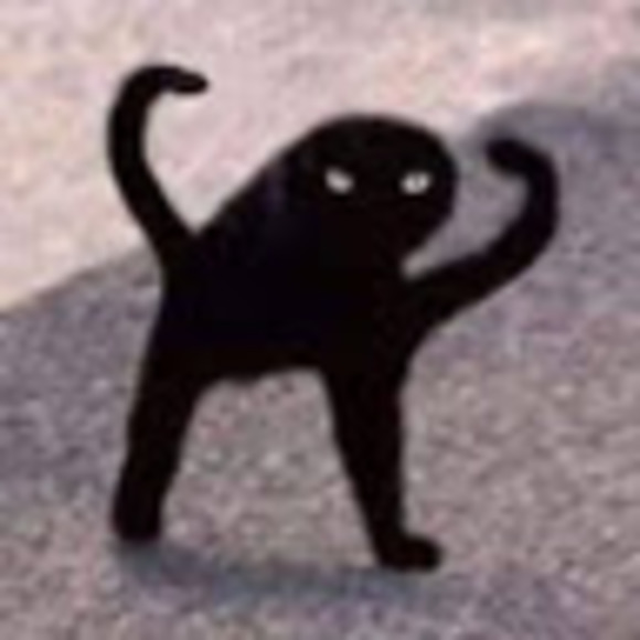 Meet your Posher, Stray - Picture 1 of 1